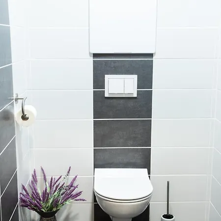 Zim-let Lipno Apartment *
